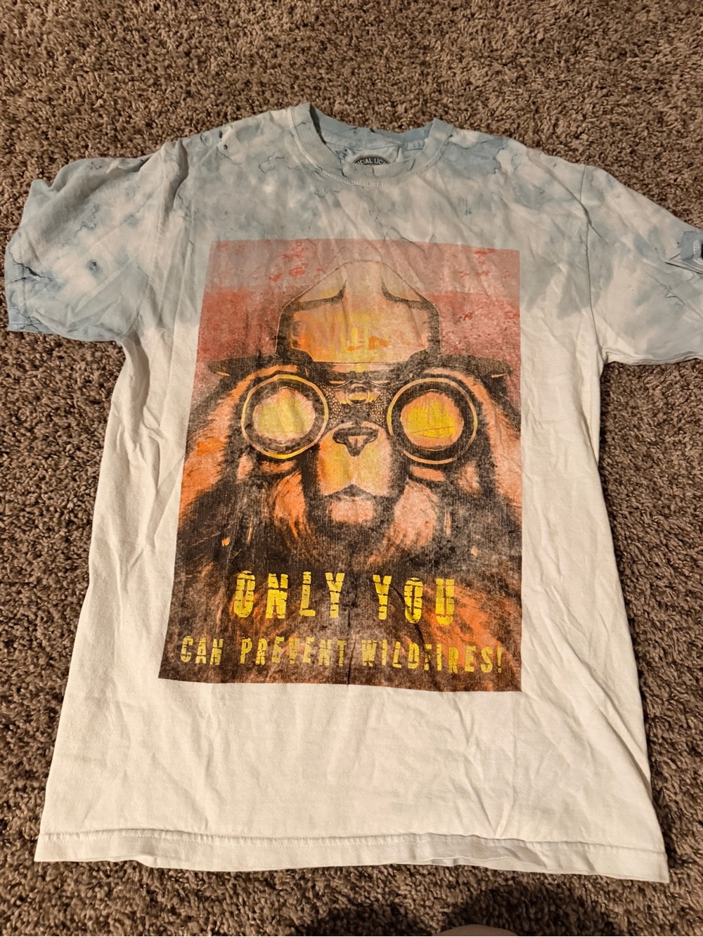 Graphic Smokey the Bear Tee - White & Light Blue